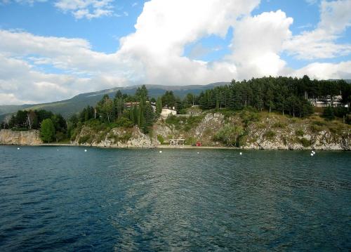 IMG_1585 (2)сж.jpg