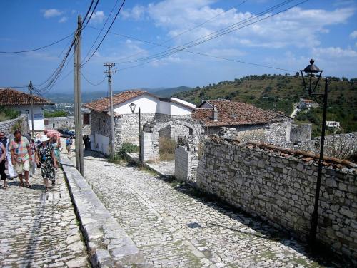 IMG_1213 (2)сж.jpg