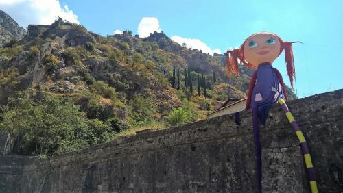 WP_20160820_13_00_51_Pro_сж (2).jpg