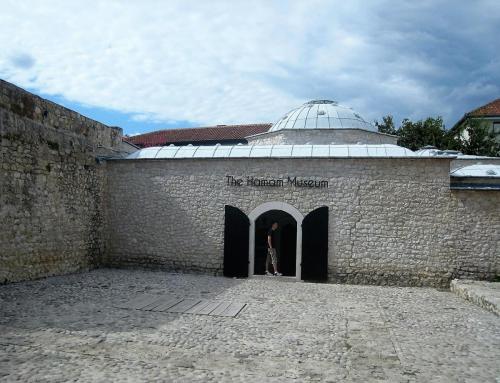 IMG_0204 (2)_сж.jpg