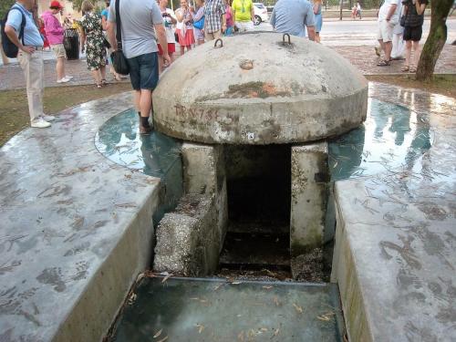 IMG_1374 (2)сж.jpg