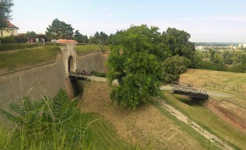 WP_20160817_13_57_06_Pro (2).jpg