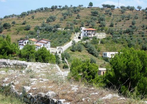 IMG_1282 (2)сж.jpg