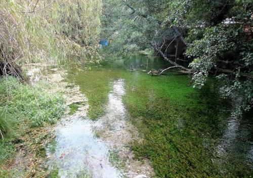 IMG_1467 (2)сж.jpg