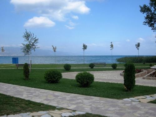 IMG_1415 (2)сж.jpg