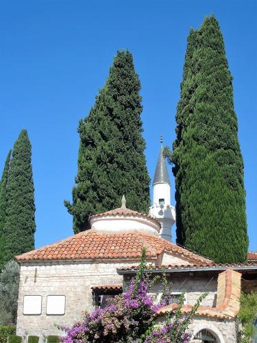 IMG_0944 (2)сж.jpg