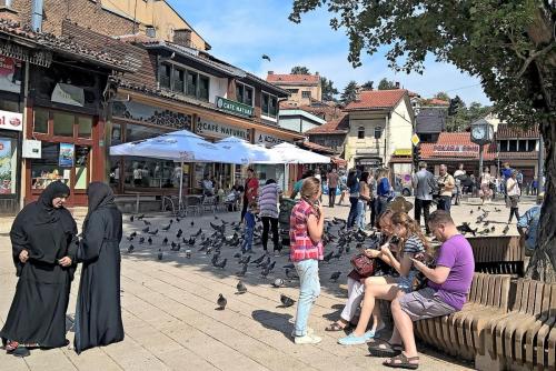 WP_20160819_10_49_34_Pro (2)_сж.jpg