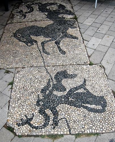 IMG_1191 (2)сж.jpg