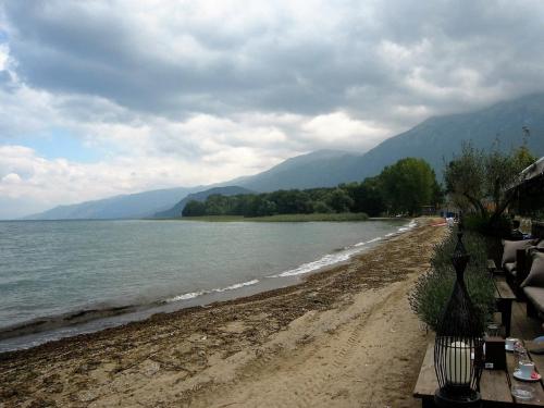 IMG_1487 (2)сж.jpg