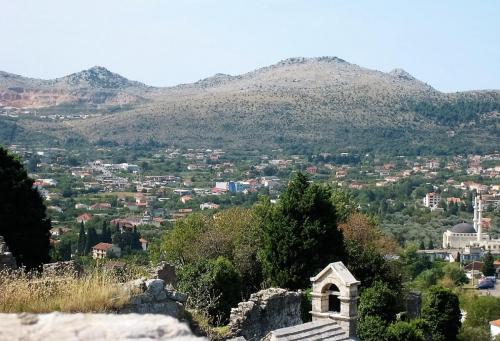 IMG_0966 (2)сж.jpg