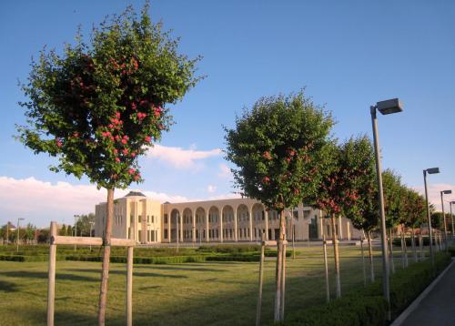 IMG_1136_1.jpg