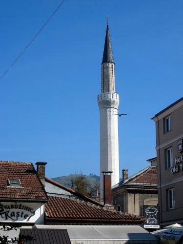 IMG_0132 (2)_сж.jpg