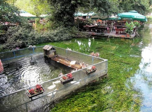 IMG_1468 (2)сж.jpg