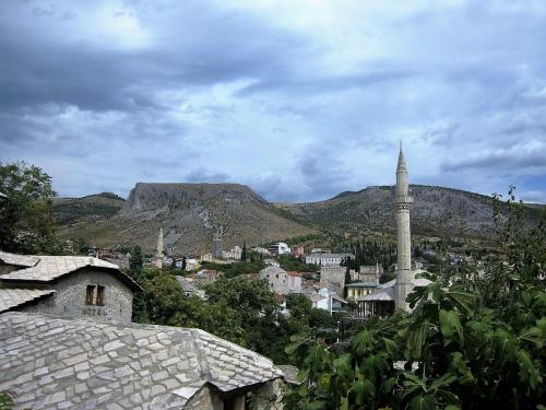 IMG_0140 (2)_сж.jpg