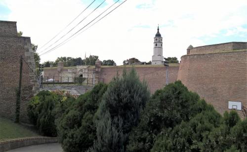 WP_20160816_15_43_48_Pro (2).jpg