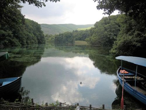 IMG_1421 (2)сж.jpg