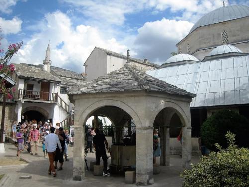 IMG_0194 (2)_сж.jpg