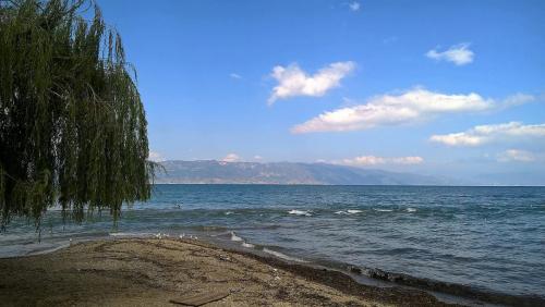 WP_20160825_10_45_59_Pro (3)сж.jpg