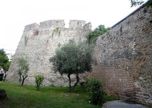 IMG_1138 (2)сж.jpg