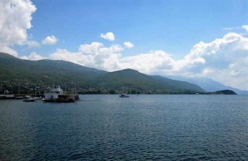 IMG_1561 (2)сж.jpg