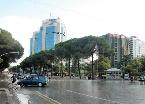 IMG_1355 (2)сж.jpg