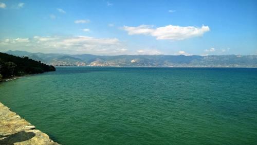 WP_20160825_10_10_52_Pro (2)сж.jpg