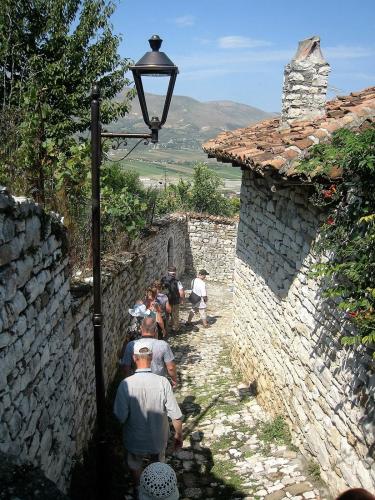 IMG_1218 (2)сж.jpg