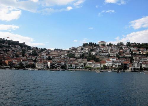 IMG_1582 (2)сж.jpg