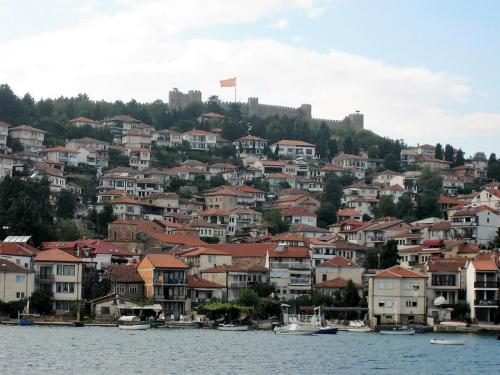 IMG_1581 (2)сж.jpg