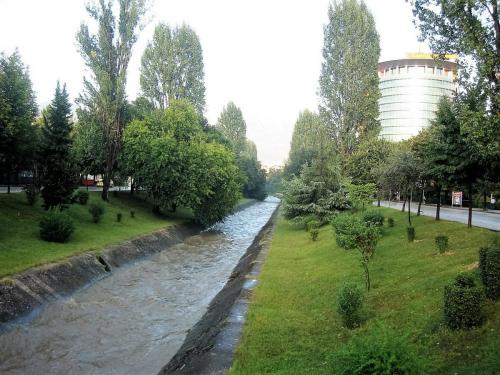 IMG_1356 (2)сж.jpg