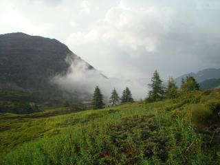 DSC09408.JPG