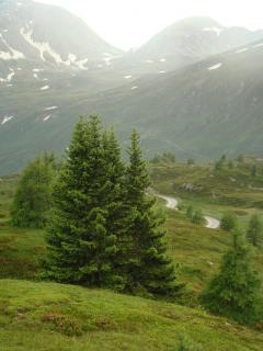DSC09431.jpg