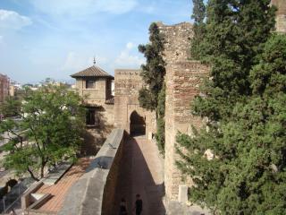 DSC04899.JPG