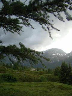 DSC09430.jpg