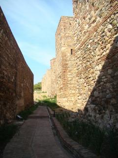 DSC04936.JPG