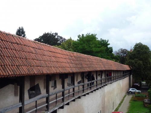 P1240139.JPG