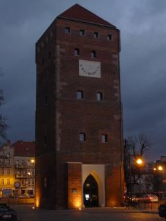 P1100567.JPG