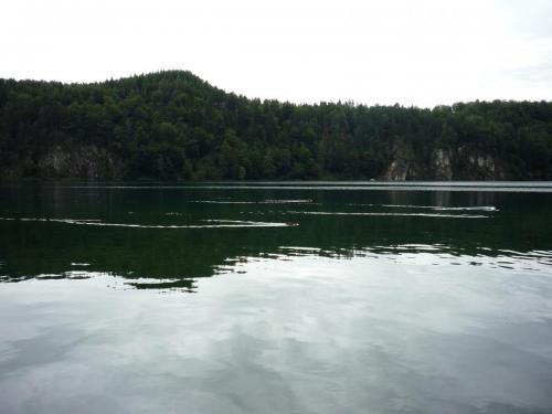 P1230625.JPG