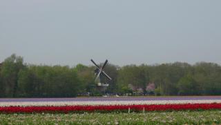 P1110844.JPG