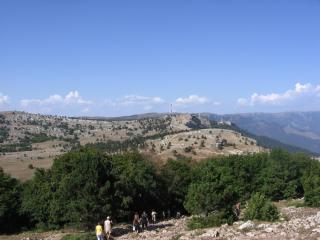 IMG_0545.JPG
