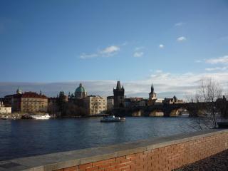 P1100381.JPG