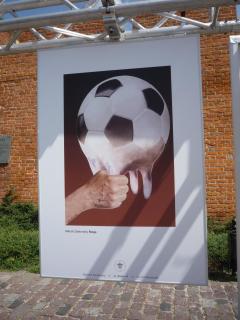P1080237.JPG