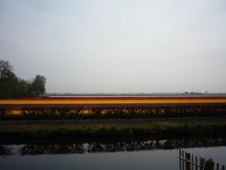 P1110700.JPG