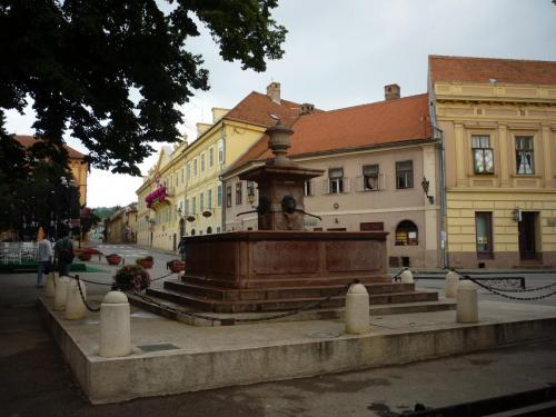 P1200529.JPG
