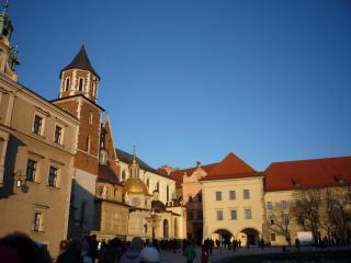 P1100138.JPG