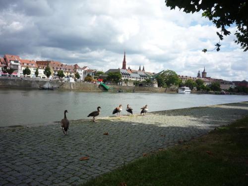P1240544.JPG