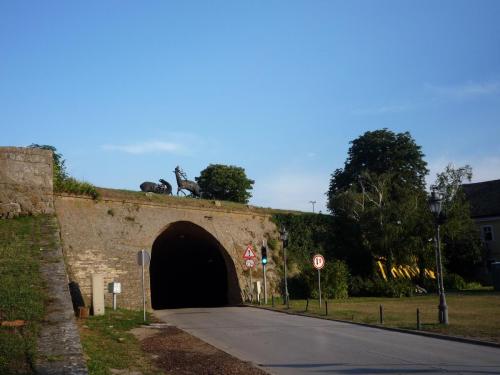 P1220184.JPG
