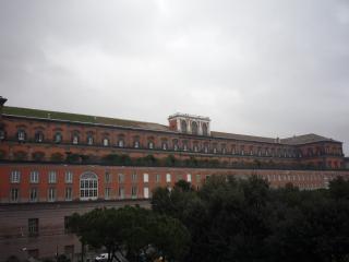 P1180572.JPG