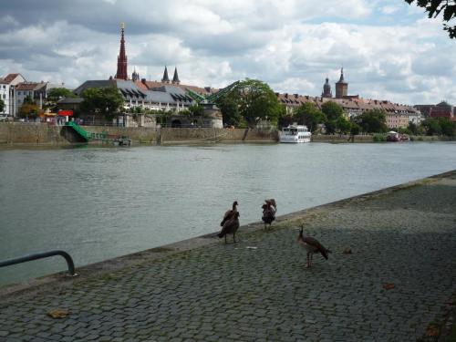 P1240542.JPG