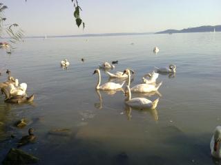 15082011248.jpg